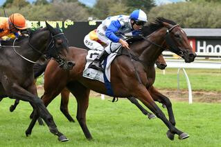 Group 3 Win for Charles Road. Photo: Race Images, Palmerston North.